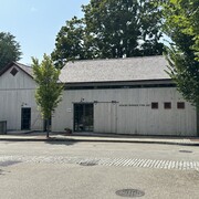 Kenise Barnes Fine Art