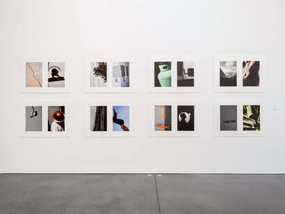 Ralph Gibson, Nature. Object, exhibition view. Courtesy of Parrish Art Museum