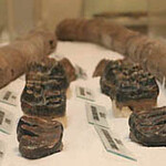 Velenje Museum