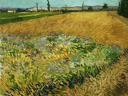 "Wheatfield" artwork by Vincent Van Gogh, painted in June 1888 in Arles, in the south of France, depicting Vincent's experience of working long hours in the field