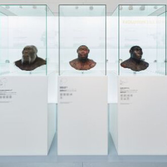 Mammoth & Sabre-Toothed Tiger. Courtesy of Naturhistorisches Museum Basel