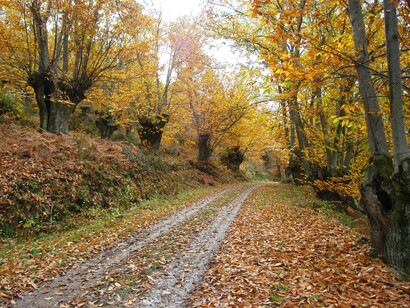 A Pobra de Trives, Ourense. Camino en las proximidades del pueblo