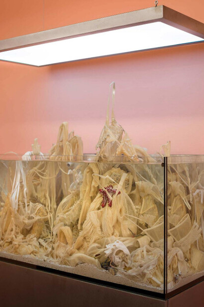 Max Hooper Schneider. Courtesy of Hammer Museum