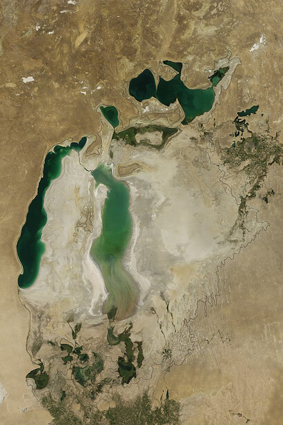 An image of the Aral Sea from August 2010, captured by NASA's Terra satellite with the Moderate Resolution Imaging Spectroradiometer (MODIS)