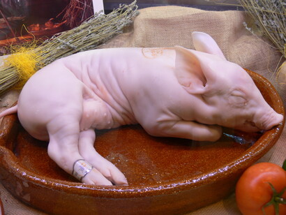 Cochinillo de Segovia