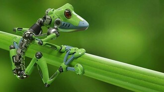 Wissenschaftler aus den USA veröffentlichten einen Bericht über Ansammlungen von Herz- und Hautzellen, die sich kinematisch replizierten