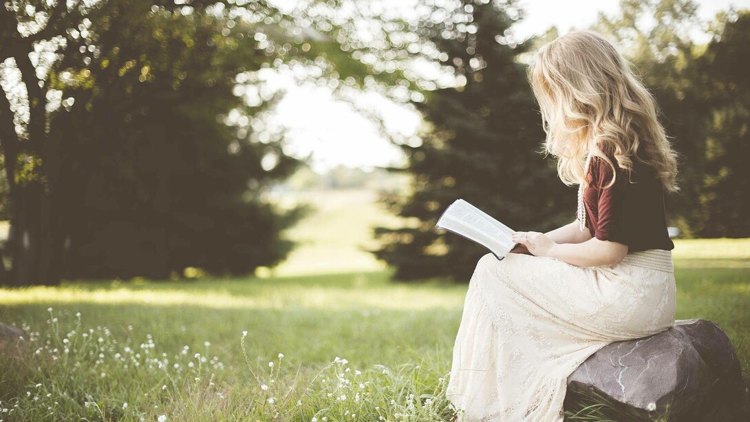A blonde woman in a field reading a novel written by either Virginia Woolf