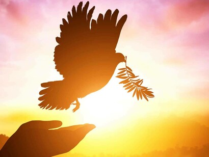 The dove is the symbol of peace, holding an olive branch