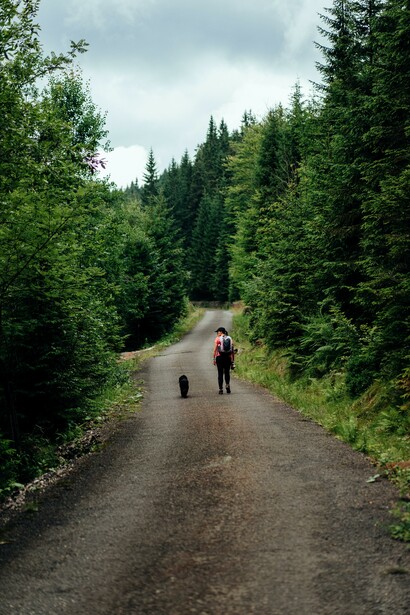 Person and a dog walking