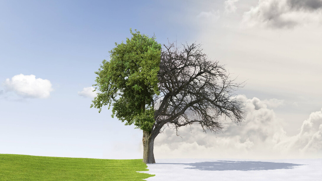 Image of a tree through a four-season cycle. Imagine a world wherein every woman knows when she is fertile and infertile