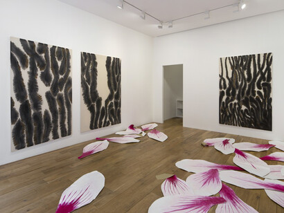 Magnolias. Courtesy of Kamel Mennour