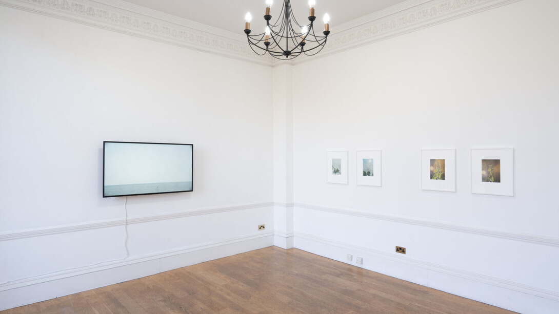 Noguchi Rika, Life on planet Earth, exhibition view. Courtesy of Daiwa Foundation Japan House