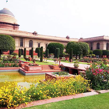 The splendour of Rashtrapati Bhavan Mughal Garden, New Delhi, India