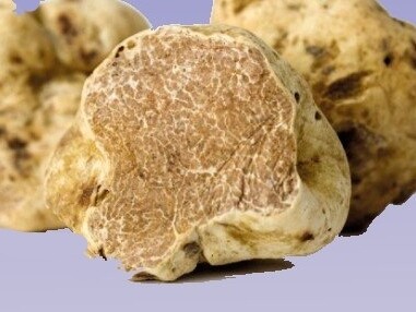 Il tartufo sprigiona il suo massimo potenziale aromatico a crudo, arricchendo piatti semplici come uova, pasta e risotti con una complessità unica