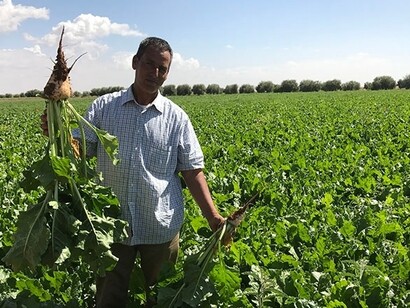 At the macroeconomic level, the green plan has enabled the multiplication of GDP-Agriculture and agricultural exports