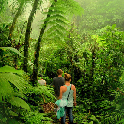 30 National parks and reserves have been inaugurated since 1955
