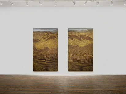 Francesco Cima, Vedrai, vedrai, exhibition view. Courtesy of Amanita