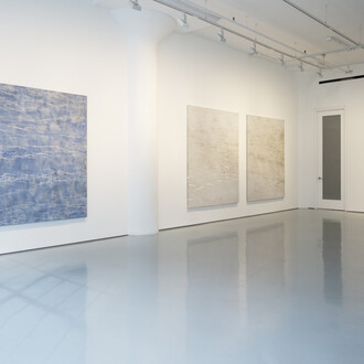 Kathleen Jacobs, Woods of symbols, exhibition view. Courtesy of Fergus McCaffrey Gallery
