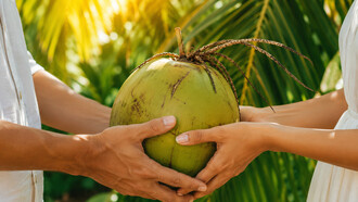 Hands joined around a fresh coconut under sunlit palms, symbolising loyalty that survived time and separation