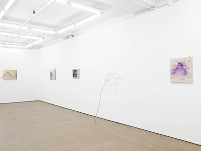 Siobhan Liddell, Going without saying, exhibition view. Courtesy of Gordon Robichaux Gallery