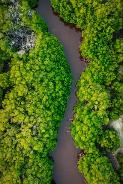 Preservação de habitats naturais