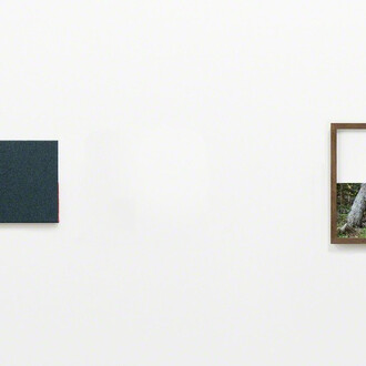 Irene Grau ≠. Courtesy of Maus Contemporary