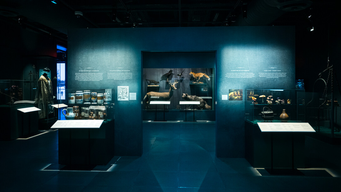 Witches. Out of the shadows, exhibition view. Courtesy of Pointe-à-Callière