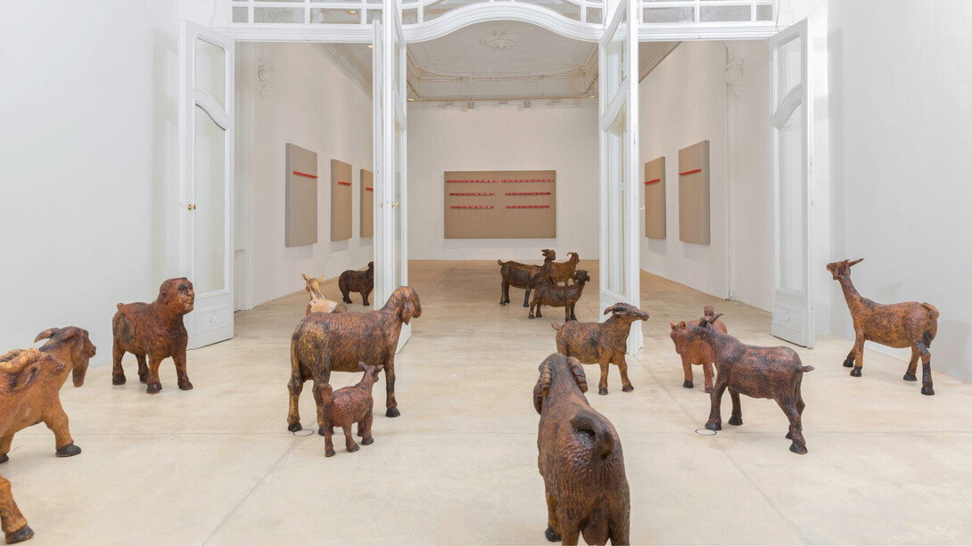 Anthony Olubunmi Akinbola, Western beef, exhibition view. Courtesy of Galerie Krinzinger