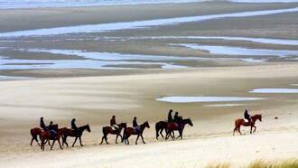 El medio ambiente influye en los seres humanos. Le Touquet-Paris-Plage, más conocido como Le Touquet, municipio situado en el departamento del Paso de Calais, en la desembocadura del río Canche en el canal de la Mancha, Francia