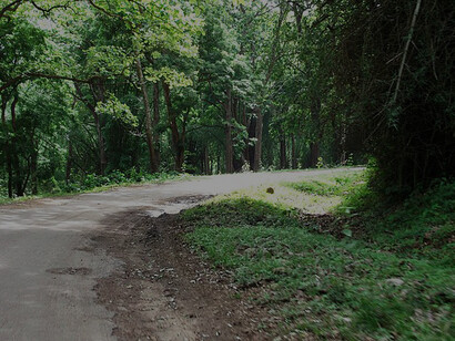 Uncover the beauty of the ghat road at Anamalai Tiger Reserve in Pollachi, India, for an unforgettable adventure