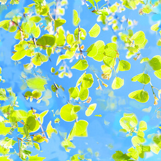 Ralf Peters, Sweets 6 Mo (detail), 2024. Courtesy of Bernhard Knaus Fine Art Gallery