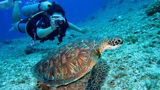 Scuba diving in Padangbai, Bali, among colorful coral reefs