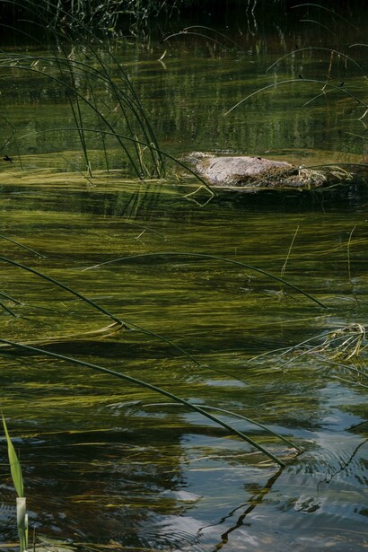 Desde os povos primitivos até os dias atuais, a Lagoa Santa tem sido um espaço de interação cultural, científica e social, refletindo as transformações e memórias da comunidade ao seu redor
