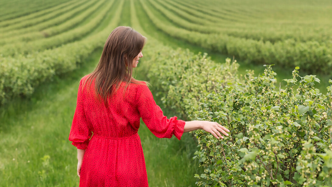 Enchanting image of woman in red dress tenderly tending to plants on the farm