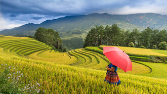 La moda que está en cada rincón, hacen de Vietnam un destino del que no te querrás ir