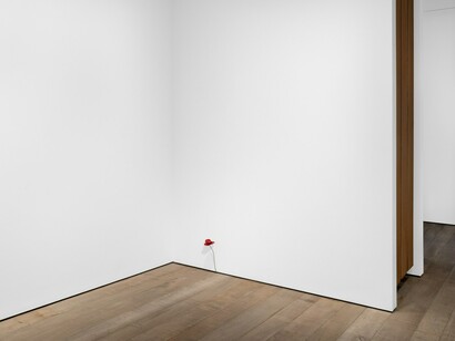 Suda Yoshihiro, exhibition view. Courtesy of Sadie Coles HQ