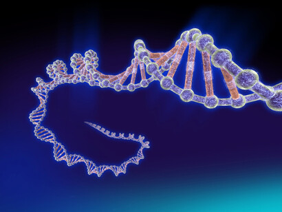 DNA
