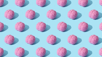 Tout commence là où tout finit, précisément parce que les paramètres qui configurent les réalités face auxquelles on se trouve sont insinués.