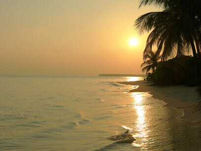 A Lakshadweep beach in the sunset; no other Island destination offers the kind of variety in terms of Coral Reefs as Lakshwadeep does