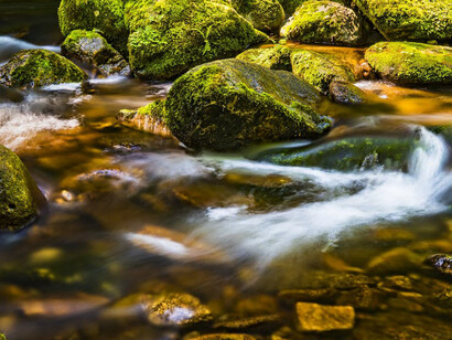 Embracing the healing powers nature provides us, a way to get in touch with our surroundings, our environment, ourselves