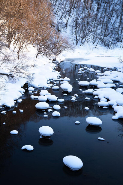 Stephen King, Hokkaido snow mushrooms, Hokkaido, Japan, 2023. Courtesy of Alisan Fine Arts Gallery
