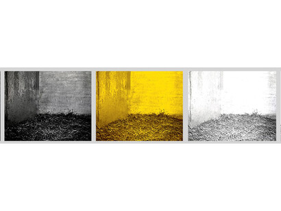 Jonathan Calm, Details of "Deer Chamber 3", 2013 archival pigment print 16 x 100 inches Edition of 5. Courtesy of LMAKprojects, NY