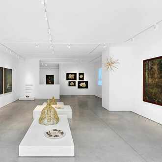 Edo Costantini, Delfina Braun and Delfina Muniz Barreto, Winter solstice: seeds of nothingness, exhibition view. Courtesy of Praxis