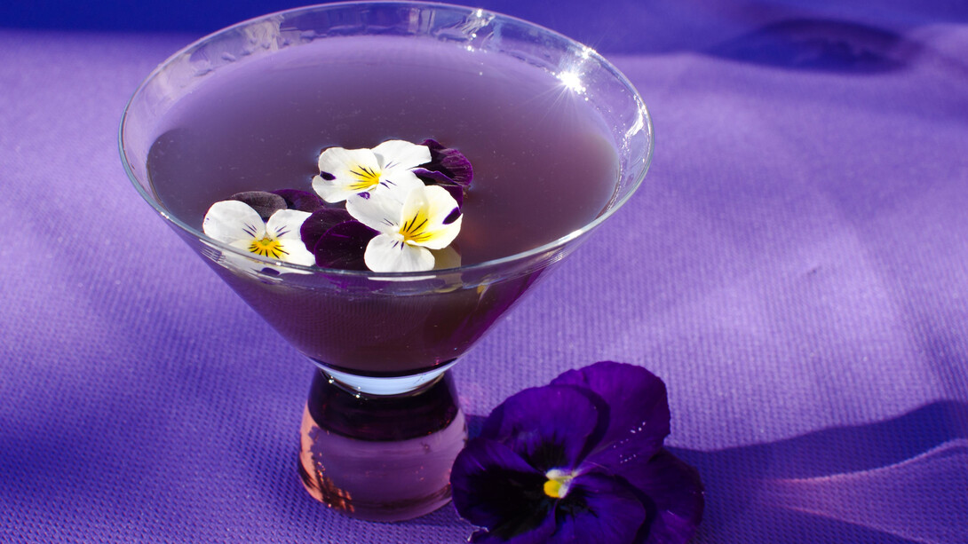 Drink alla viola