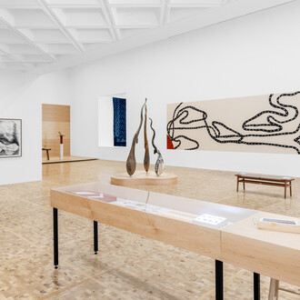 Laura Anderson Barbata and Sheroanawe Hakihiiwe, Wayamou: common tongues, exhibition view. Courtesy of Museo Tamayo