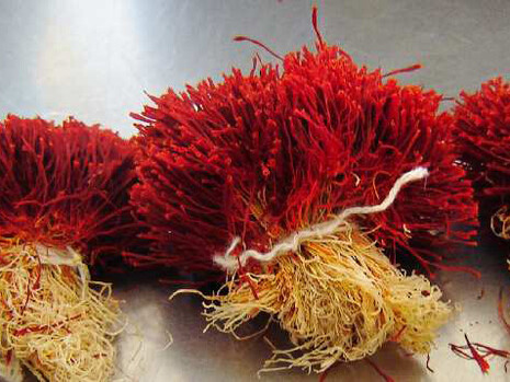 Pistilli di zafferano