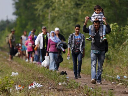 Refugiados sirios caminan por los campos europeos en busca de un nuevo destino