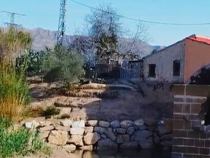 El Juzgado Privativo de Aguas de Orihuela es una entidad jurisdiccional en los temas relativos de agua y riego, España