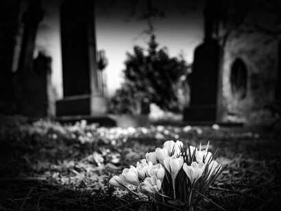 Con las palabras ocurre que, primero, desaparece aquello a lo que representan y más tarde, lo hace la palabra