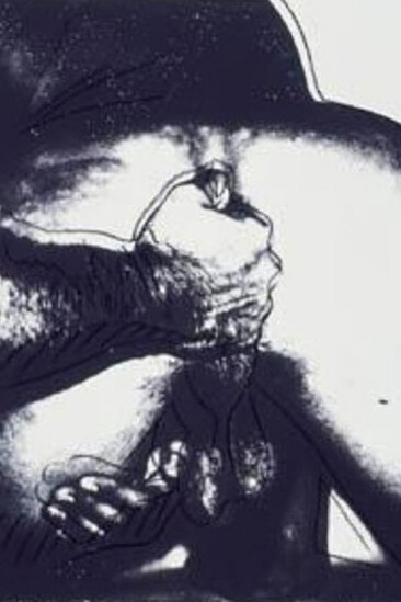Warhol. Sexual picture